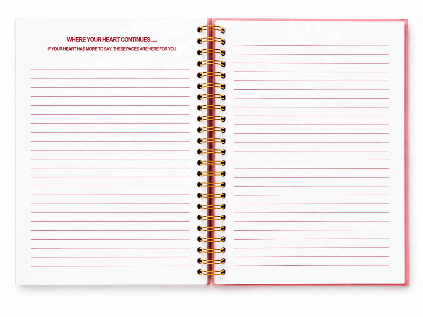 Dear Jesus Devotional Journals |Pink|