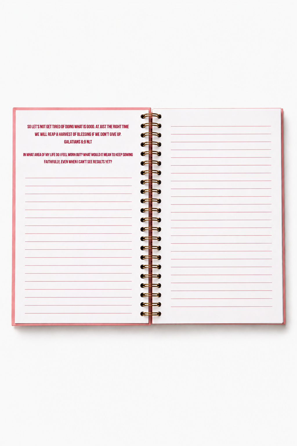 Dear Jesus Devotional Journals |Pink|